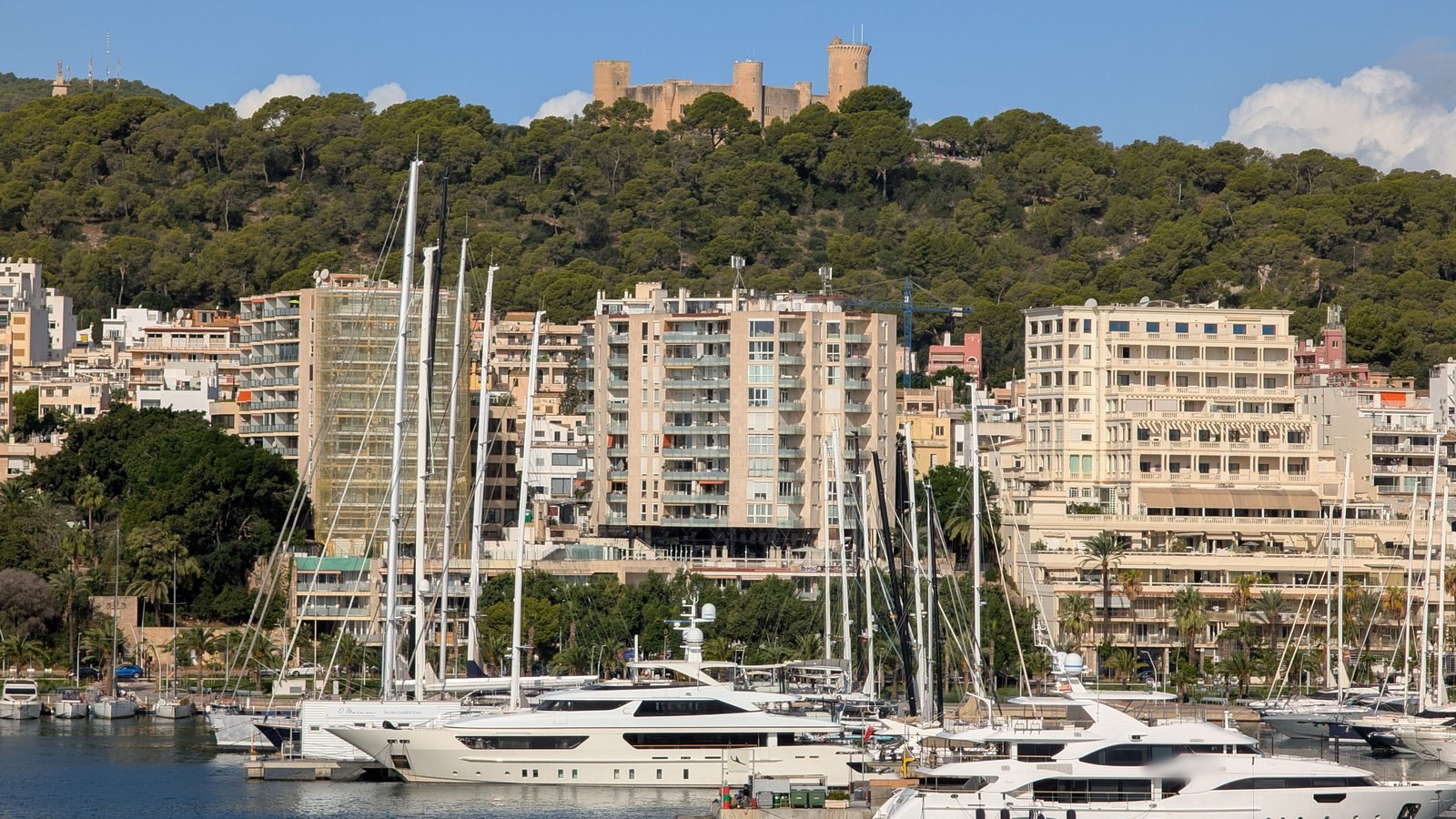 Superyachts and sailing yachts moored in Palma de Mallorca harbour, Bellver Castle on the wooded hill above